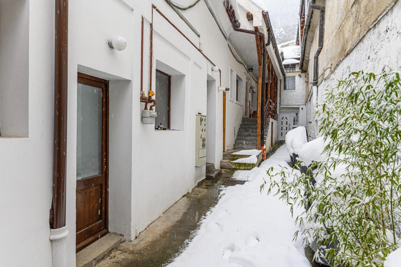 Castelului Residence - Casa Monad 브라쇼브 외부 사진